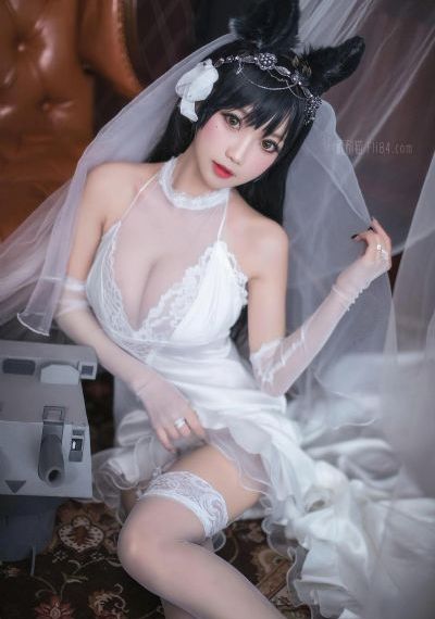 1—46集电视剧免费观看
