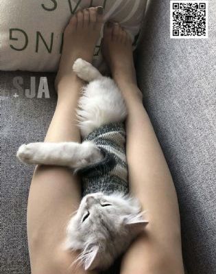 电视剧墨雨云间全集免费播放