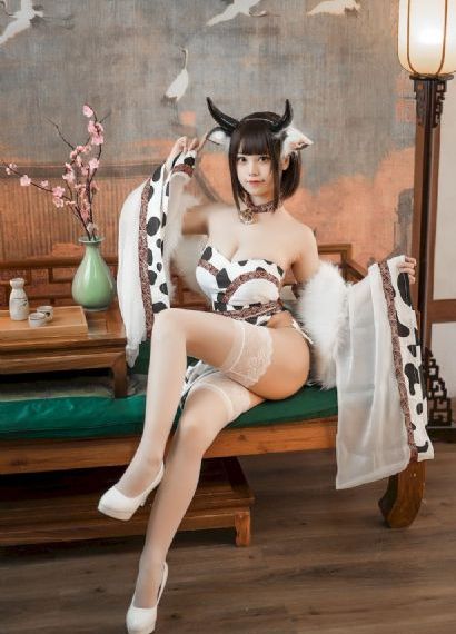 电视剧免费完整版全集在线观看