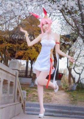 爱在哈佛